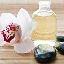 The Massage Collection