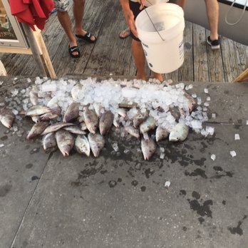 Gypsy Salt Water Charters - Fishing Near Me - Clearwater, Florida