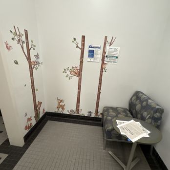 Wake County Public Libraries - Thoughtful area in the women's restroom for nursing parents or just to sit in a cozy spot - Libraries Near Me - Raleigh, North Carolina Wake County Public Libraries - Thoughtful area in the women's restroom for nursing parents or just to sit in a cozy spot - Libraries Near Me - Raleigh, North Carolina