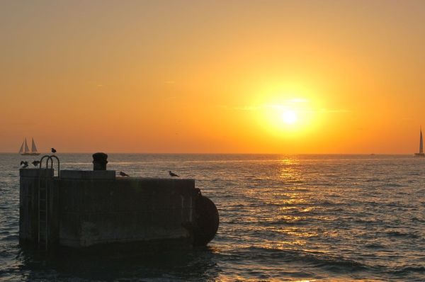 Sunset Celebration at Mallory Square by null