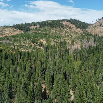 Ponderosa Flat Campground - Drone photo: Looking back towards the town of Chester at about 300 feet directly above my site. - Fishing Near Me - Canyon Dam, California Ponderosa Flat Campground - Drone photo: Looking back towards the town of Chester at about 300 feet directly above my site. - Fishing Near Me - Canyon Dam, California