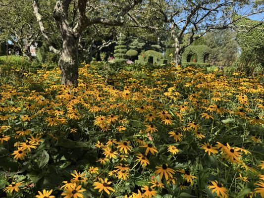 Green Animals Topiary Garden by null