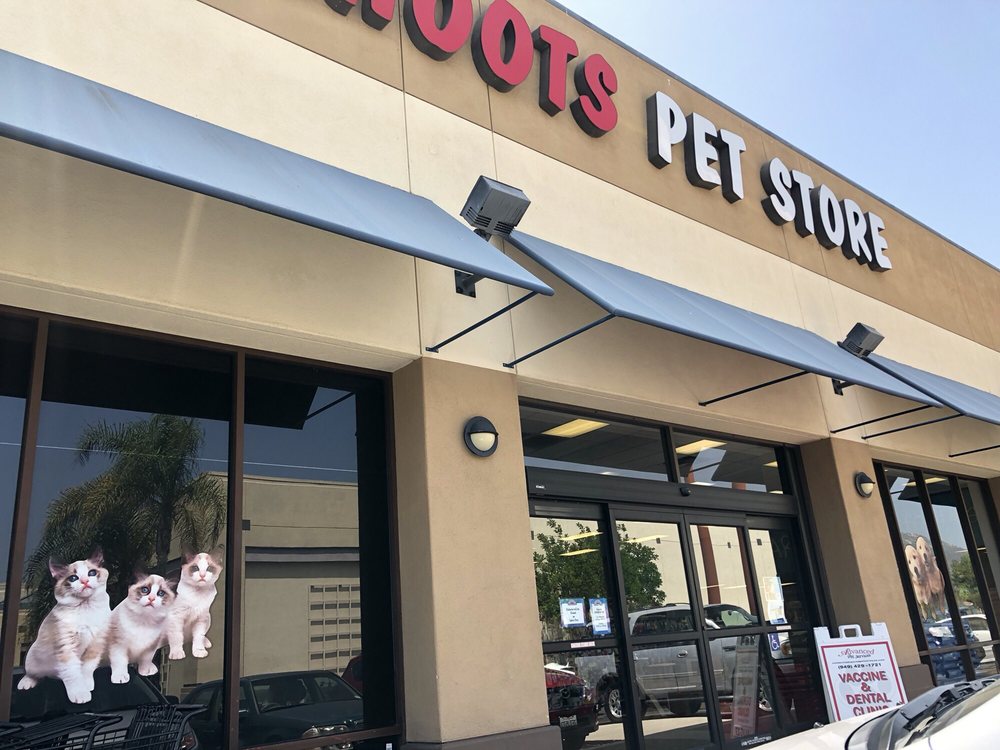 KAHOOTS PET STORE CLOSED Updated September 2024 12 Photos & 54