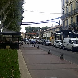 Le Centaurée