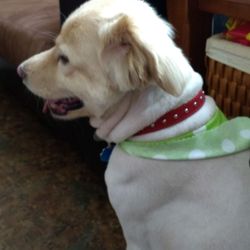 Long Animal Clinic - My handsome fur baby.