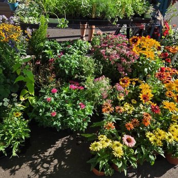 Rudy's Garden - Nurseries & Gardening Near Me - Salem, Oregon Rudy's Garden - Nurseries & Gardening Near Me - Salem, Oregon