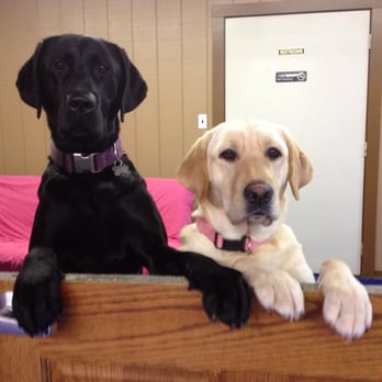 Bark Bath & Beyond - Pet Sitting Near Me - Coldwater, Michigan Bark Bath & Beyond - Pet Sitting Near Me - Coldwater, Michigan