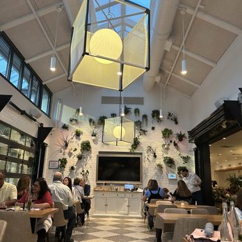 Sixty Vines - Indoor - New American Near Me - Orlando, Florida Sixty Vines - Indoor - New American Near Me - Orlando, Florida