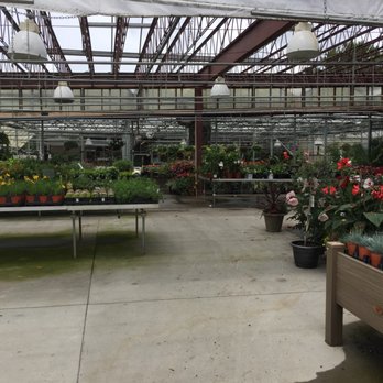 Brenckles Greenhouses - Nurseries & Gardening Near Me - Pittsburgh, Pennsylvania