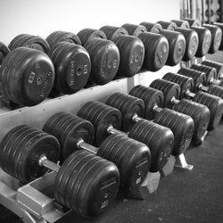 Untamed Strength - Dumbbells from 5-155 lbs
