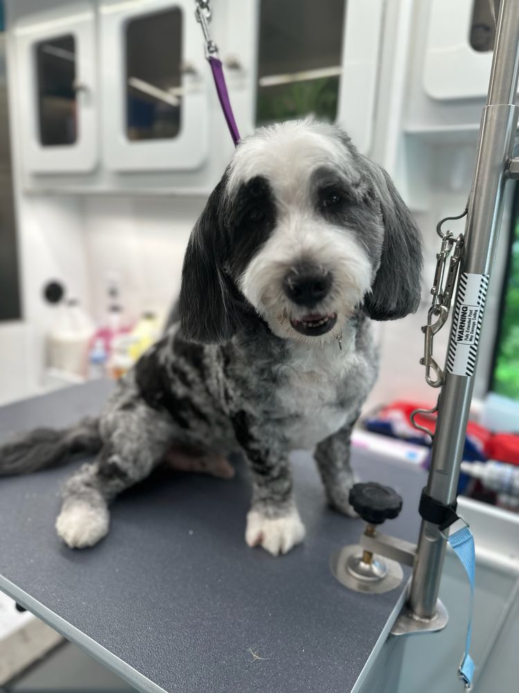 TubWagon Grooming Image