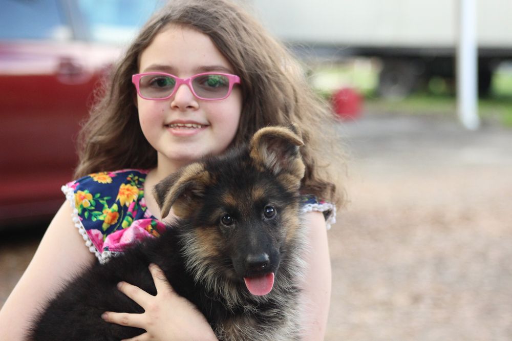 Southernwind Kennels Image