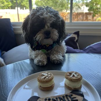 Three Dog Bakery - Pet Stores Near Me - Albuquerque, New Mexico