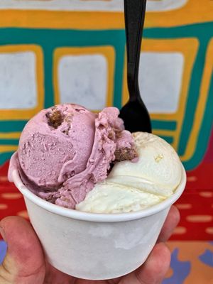 Zsa's Ice Cream by null