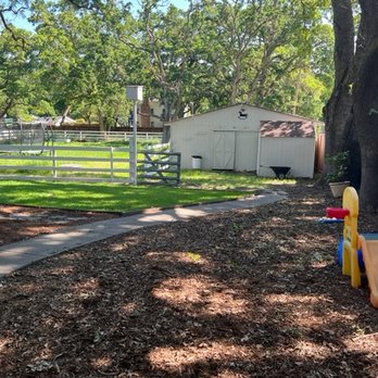 Woven Child Care - Our large outdoor space allows children to explore nature under the shade of the oak trees. - Child Care & Day Care Near Me Woven Child Care - Our large outdoor space allows children to explore nature under the shade of the oak trees. - Child Care & Day Care Near Me