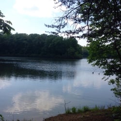 Mayo Park - Lake Mayo!
