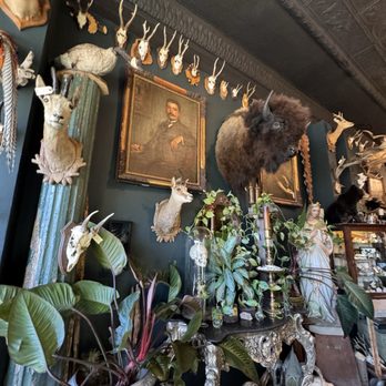 Twelve Vultures - Antiques Near Me - Minneapolis, Minnesota Twelve Vultures - Antiques Near Me - Minneapolis, Minnesota