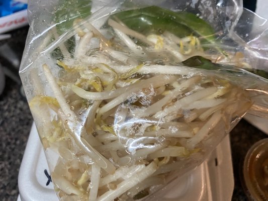 Pho Huynh by null