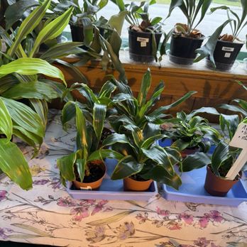 Randi's Green Thumb Service - Florists Near Me - Midland, Michigan