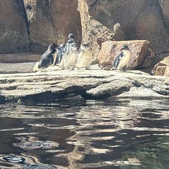 Birch Aquarium - Aquariums Near Me - La Jolla, California