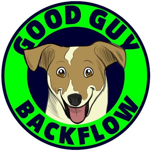 Slide of Good Guy Backflow