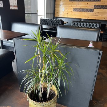 Kanok Thai Bistro - Thai Near Me - Costa Mesa, California Kanok Thai Bistro - Thai Near Me - Costa Mesa, California