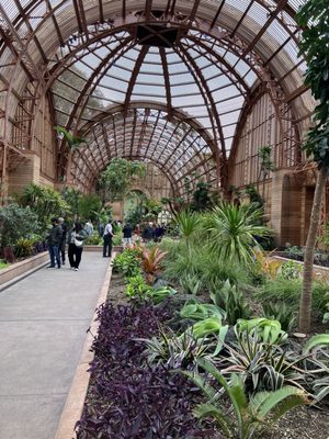 Botanical Building by null