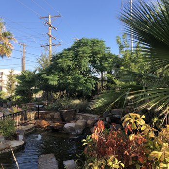 150 Sunset - Garden and Fountains - Breakfast & Brunch Near Me - El Paso, Texas
