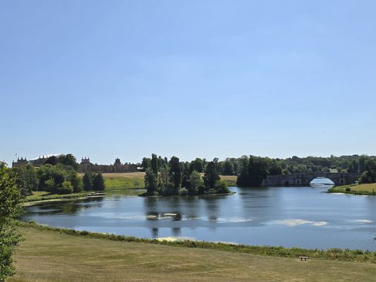 Blenheim Palace by null