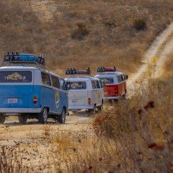Van'N Boozy Temecula Wine Tour Adventures - Cruise through scenic Temecula vineyards in a vintage VW bus! Discover the ultimate wine tour adventure. 
Temecula Wine Tour.  Van'n Boozy