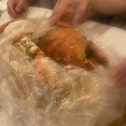 Dungeness Crab