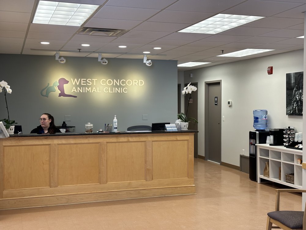 WEST CONCORD ANIMAL CLINIC Updated September 2024 29 Domino Dr