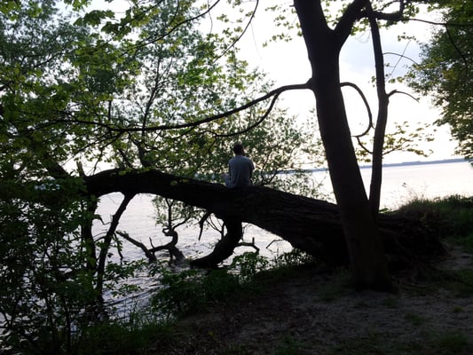 Müggelsee by null