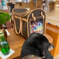 Louis Vuitton City Creek Center - He's so spoiled.