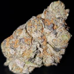 The Reliable Guys - GSC