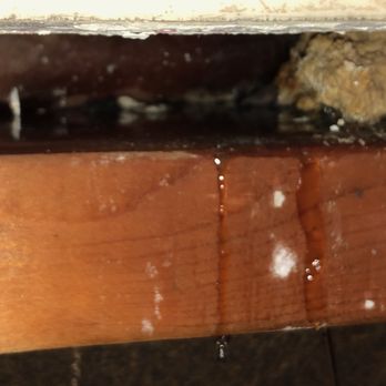 Universal Windows Direct of Columbus - Universal Windows poor installation. Contracer confirmed poor installation with a water test. Photos are directly under windows. - Windows Installation Near Me - Columbus, Ohio