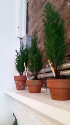 Homecoming by null Homecoming by null