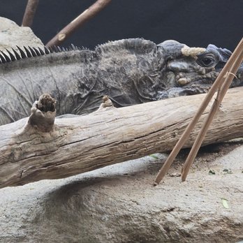 Tiergarten Schönbrunn - Zoos Near Me - Vienna, 9