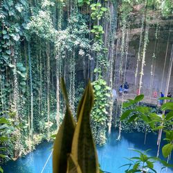 Cenote Ik Kil - Cenote Ik Kil