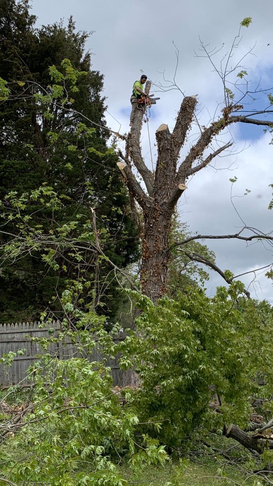 Slide of Bonilla Lumber Jacks