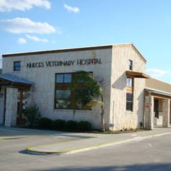 Nueces Veterinary Hospital - 30 Years Practicing