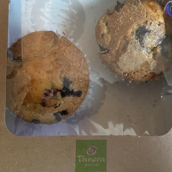 Panera Bread - Soup Near Me - Norfolk, Virginia