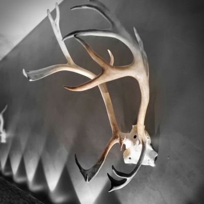 Lapland Hotels Bulevardi by null