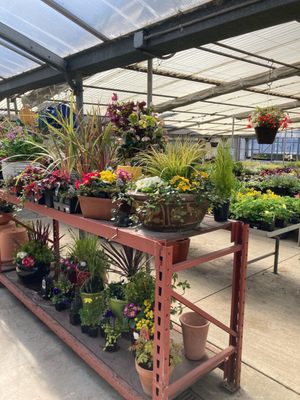 Marbott's Greenhouse & Nursery