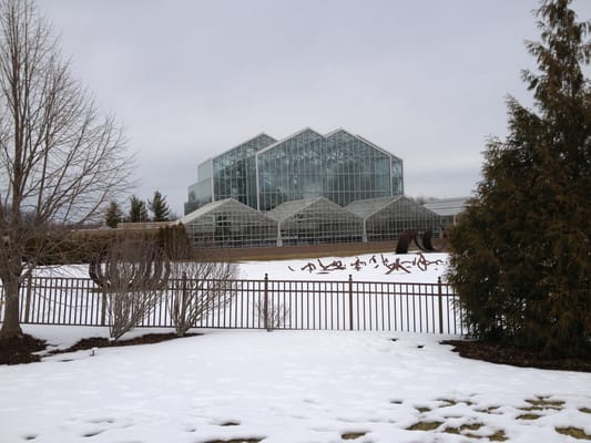 Frederik Meijer Gardens & Sculpture Park by null