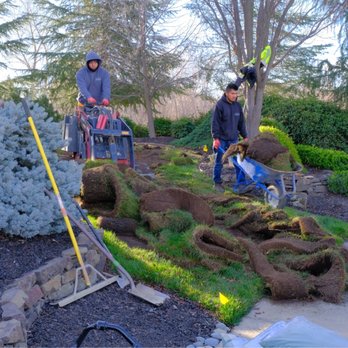 Artificial Turf By Fenix - sod removal - Artificial Turf Near Me - Rocklin, California Artificial Turf By Fenix - sod removal - Artificial Turf Near Me - Rocklin, California