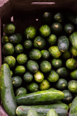 Printers Row Farmers Market by null