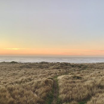 Ireland's Ocean View Rv Park - RV Parks Near Me - Gold Beach, Oregon Ireland's Ocean View Rv Park - RV Parks Near Me - Gold Beach, Oregon