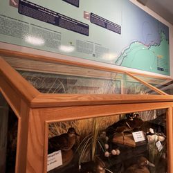 Coastal Interpretive Center