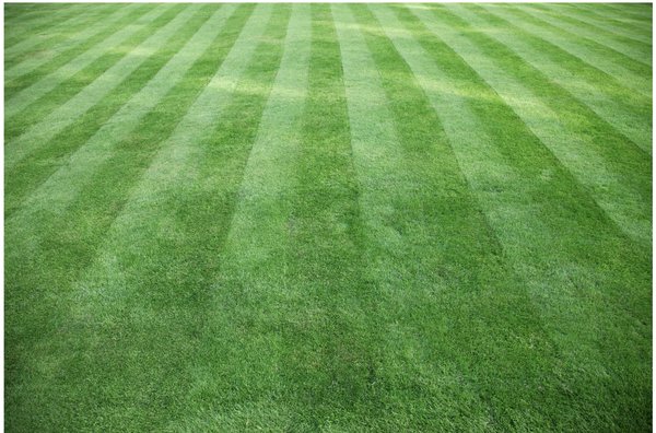 Trustworthy Excellence in Lawncare - We understand the importance of attention to detail when it comes to your lawn. That's why we take the time to meticulously manicure every blade of grass, trim every edge, and ensure that your outdoor space looks nothing short of perfection.

But it's not just about the quality of our work – it's about trust. When you choose Marvin's Mars Lawncare, you're choosing a local team that genuinely cares about your satisfaction. We're your neighbors, your friends, and your partners in creating a lawn that you can be proud of.

So, if you're ready to experience reliable, detail-oriented lawn care from a team that you can trust, give Marvin's Mars Lawncare a call today. Your lawn will thank you for it!
